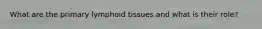 What are the primary lymphoid tissues and what is their role?