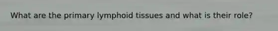 What are the primary lymphoid tissues and what is their role?