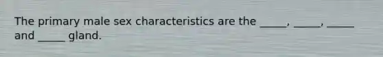 The primary male sex characteristics are the _____, _____, _____ and _____ gland.