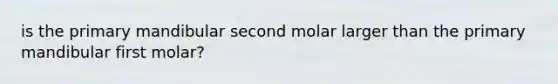 is the primary mandibular second molar larger than the primary mandibular first molar?