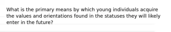 What is the primary means by which young individuals acquire the values and orientations found in the statuses they will likely enter in the future?