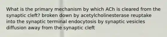 What is the primary mechanism by which ACh is cleared from the synaptic cleft? broken down by acetylcholinesterase reuptake into the synaptic terminal endocytosis by synaptic vesicles diffusion away from the synaptic cleft