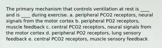 The primary mechanism that controls ventilation at rest is ____ and is ____ during exercise. a. peripheral PCO2 receptors, neural signals from the motor cortex b. peripheral PO2 receptors, muscle feedback c. central PCO2 receptors, neural signals from the motor cortex d. peripheral PO2 receptors, lung sensory feedback e. central PCO2 receptors, muscle sensory feedback