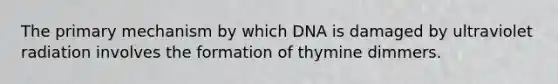 The primary mechanism by which DNA is damaged by ultraviolet radiation involves the formation of thymine dimmers.