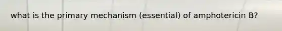 what is the primary mechanism (essential) of amphotericin B?