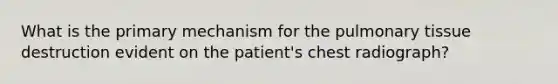 What is the primary mechanism for the pulmonary tissue destruction evident on the patient's chest radiograph?