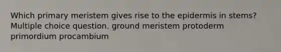 Which primary meristem gives rise to the epidermis in stems? Multiple choice question. ground meristem protoderm primordium procambium