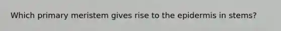 Which primary meristem gives rise to the epidermis in stems?
