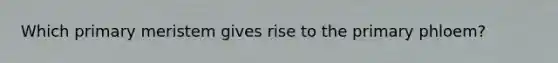 Which primary meristem gives rise to the primary phloem?