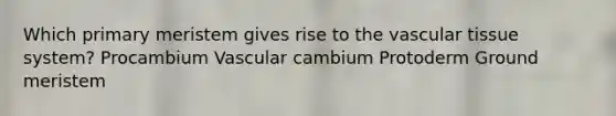 Which primary meristem gives rise to the vascular tissue system? Procambium Vascular cambium Protoderm Ground meristem