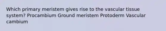 Which primary meristem gives rise to the vascular tissue system? Procambium Ground meristem Protoderm Vascular cambium