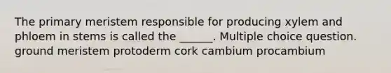 The primary meristem responsible for producing xylem and phloem in stems is called the ______. Multiple choice question. ground meristem protoderm cork cambium procambium