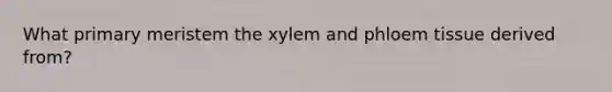 What primary meristem the xylem and phloem tissue derived from?