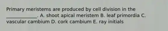 Primary meristems are produced by cell division in the _____________. A. shoot apical meristem B. leaf primordia C. vascular cambium D. cork cambium E. ray initials