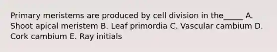 Primary meristems are produced by <a href='https://www.questionai.com/knowledge/kjHVAH8Me4-cell-division' class='anchor-knowledge'>cell division</a> in the_____ A. Shoot apical meristem B. Leaf primordia C. Vascular cambium D. Cork cambium E. Ray initials