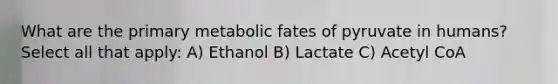 What are the primary metabolic fates of pyruvate in humans? Select all that apply: A) Ethanol B) Lactate C) Acetyl CoA