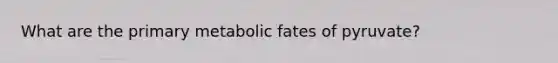 What are the primary metabolic fates of pyruvate?