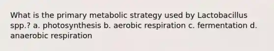 What is the primary metabolic strategy used by Lactobacillus spp.? a. photosynthesis b. aerobic respiration c. fermentation d. anaerobic respiration