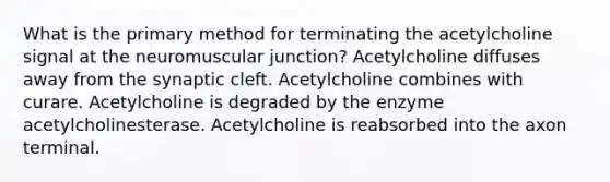 What is the primary method for terminating the acetylcholine signal at the neuromuscular junction? Acetylcholine diffuses away from the synaptic cleft. Acetylcholine combines with curare. Acetylcholine is degraded by the enzyme acetylcholinesterase. Acetylcholine is reabsorbed into the axon terminal.