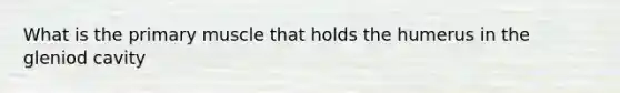 What is the primary muscle that holds the humerus in the gleniod cavity