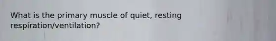 What is the primary muscle of quiet, resting respiration/ventilation?