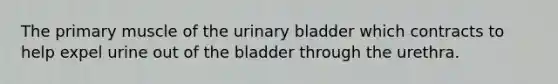 The primary muscle of the urinary bladder which contracts to help expel urine out of the bladder through the urethra.