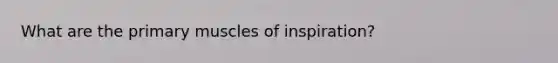 What are the primary muscles of inspiration?