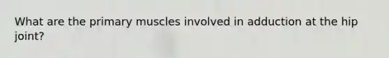 What are the primary muscles involved in adduction at the hip joint?