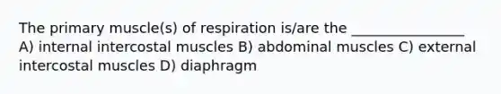 The primary muscle(s) of respiration is/are the ________________ A) internal intercostal muscles B) abdominal muscles C) external intercostal muscles D) diaphragm