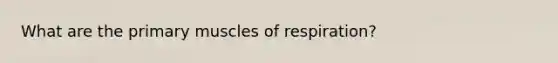 What are the primary muscles of respiration?