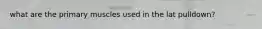 what are the primary muscles used in the lat pulldown?