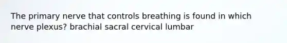 The primary nerve that controls breathing is found in which nerve plexus? brachial sacral cervical lumbar