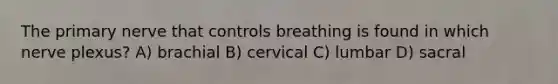 The primary nerve that controls breathing is found in which nerve plexus? A) brachial B) cervical C) lumbar D) sacral