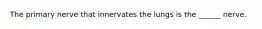 The primary nerve that innervates the lungs is the ______ nerve.