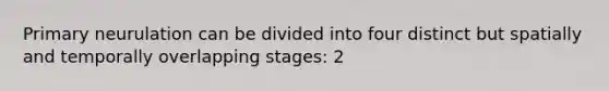 Primary neurulation can be divided into four distinct but spatially and temporally overlapping stages: 2