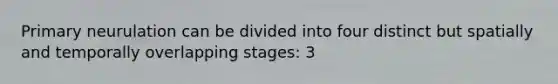 Primary neurulation can be divided into four distinct but spatially and temporally overlapping stages: 3