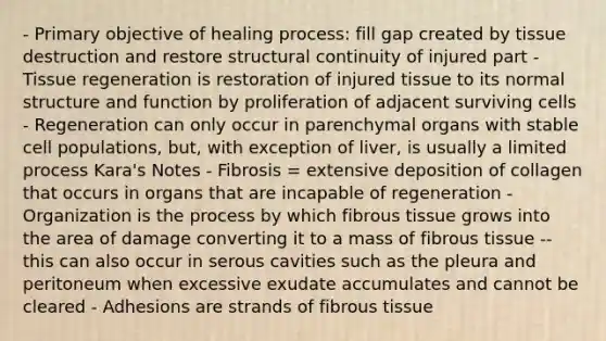 - Primary objective of healing process: fill gap created by tissue destruction and restore structural continuity of injured part - Tissue regeneration is restoration of injured tissue to its normal structure and function by proliferation of adjacent surviving cells - Regeneration can only occur in parenchymal organs with stable cell populations, but, with exception of liver, is usually a limited process Kara's Notes - Fibrosis = extensive deposition of collagen that occurs in organs that are incapable of regeneration - Organization is the process by which fibrous tissue grows into the area of damage converting it to a mass of fibrous tissue -- this can also occur in serous cavities such as the pleura and peritoneum when excessive exudate accumulates and cannot be cleared - Adhesions are strands of fibrous tissue