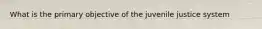 What is the primary objective of the juvenile justice system