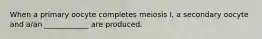 When a primary oocyte completes meiosis I, a secondary oocyte and a/an ____________ are produced.