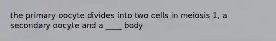 the primary oocyte divides into two cells in meiosis 1, a secondary oocyte and a ____ body