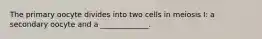 The primary oocyte divides into two cells in meiosis I: a secondary oocyte and a _____________.