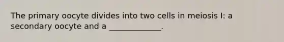 The primary oocyte divides into two cells in meiosis I: a secondary oocyte and a _____________.