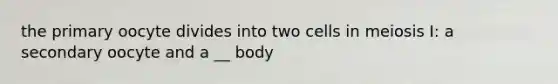 the primary oocyte divides into two cells in meiosis I: a secondary oocyte and a __ body