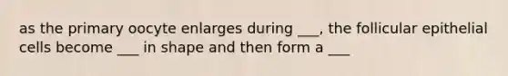 as the primary oocyte enlarges during ___, the follicular epithelial cells become ___ in shape and then form a ___