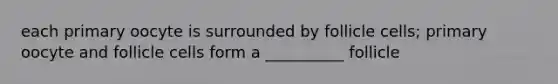 each primary oocyte is surrounded by follicle cells; primary oocyte and follicle cells form a __________ follicle