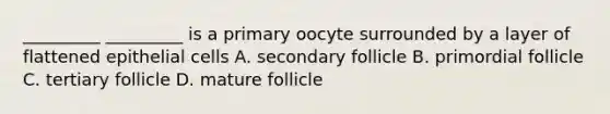 _________ _________ is a primary oocyte surrounded by a layer of flattened epithelial cells A. secondary follicle B. primordial follicle C. tertiary follicle D. mature follicle