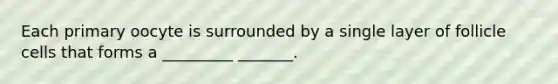 Each primary oocyte is surrounded by a single layer of follicle cells that forms a _________ _______.