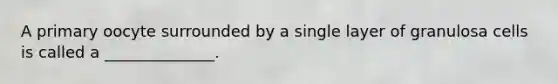 A primary oocyte surrounded by a single layer of granulosa cells is called a ______________.