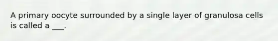 A primary oocyte surrounded by a single layer of granulosa cells is called a ___.