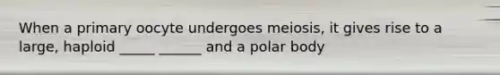 When a primary oocyte undergoes meiosis, it gives rise to a large, haploid _____ ______ and a polar body